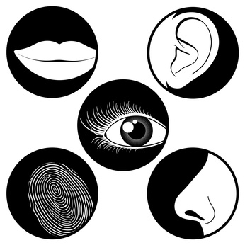 Five senses icons