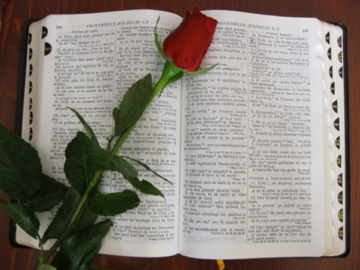 Bibbia_con_rosa